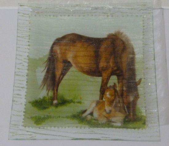 "le cheval et son petit"
